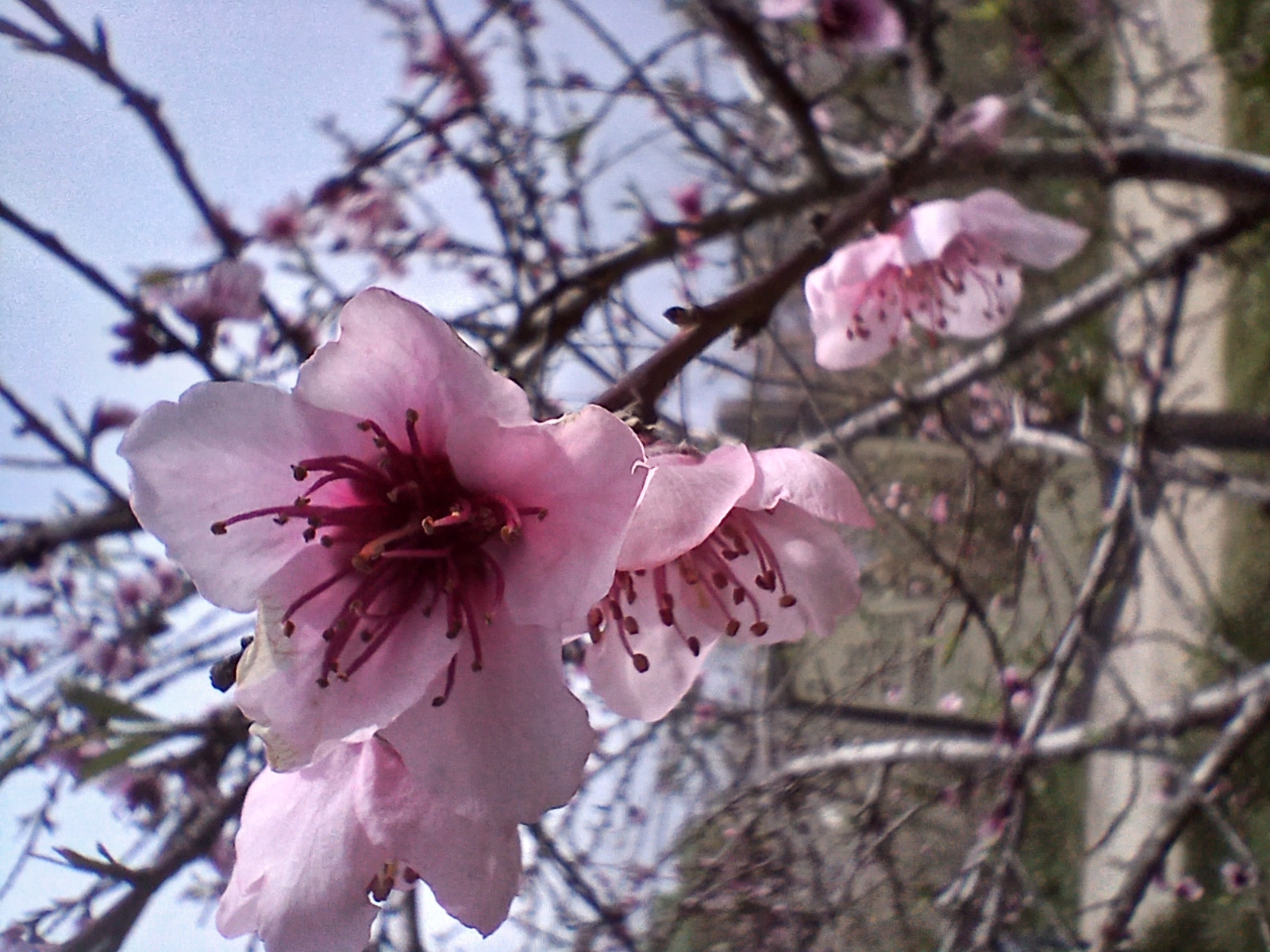 No s'ha trobat l'arxiu